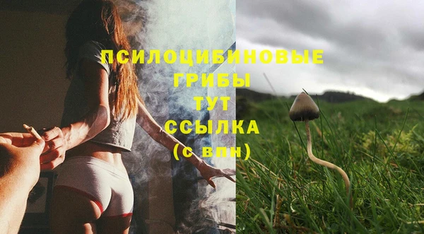 эйфоретик Коряжма