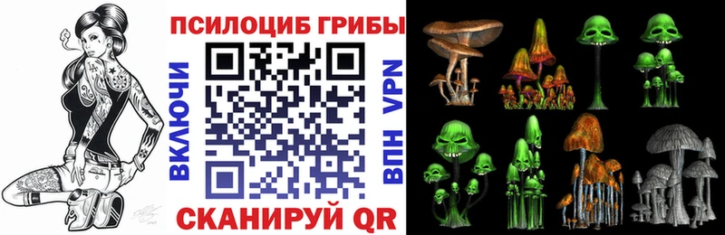 наркошоп  Белозерск  МЕГА ССЫЛКА  Галлюциногенные грибы Cubensis 